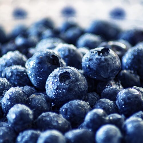 blueberries, fruit, healthy, nutrition, food, fresh, vitamins, berries, blueberries, blueberries, blueberries, blueberries, blueberries, fruit, fruit