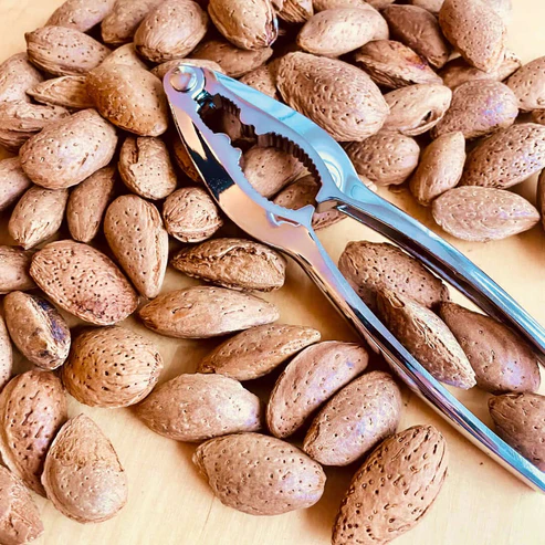 Bio Mandula (héjban) 500g - Bevezetés alatt